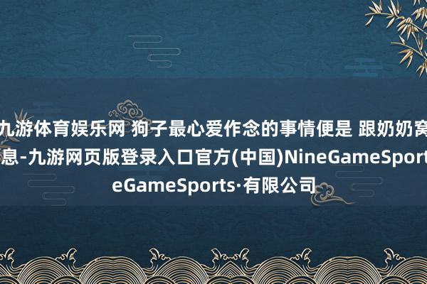 九游体育娱乐网 狗子最心爱作念的事情便是 跟奶奶窝在沙发上休息-九游网页版登录入口官方(中国)NineGameSports·有限公司