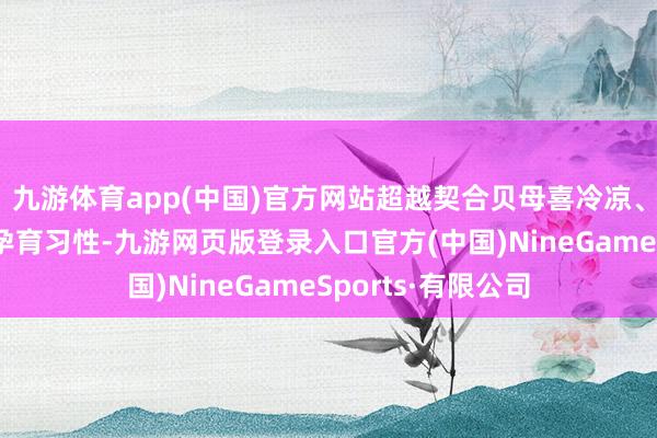 九游体育app(中国)官方网站超越契合贝母喜冷凉、耐寒、喜粉饰的孕育习性-九游网页版登录入口官方(中国)NineGameSports·有限公司