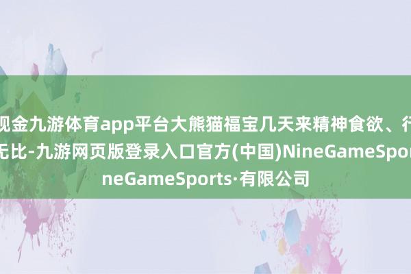 现金九游体育app平台大熊猫福宝几天来精神食欲、行径行径细腻无比-九游网页版登录入口官方(中国)NineGameSports·有限公司